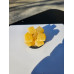 100 MG Delta 8 Gummies