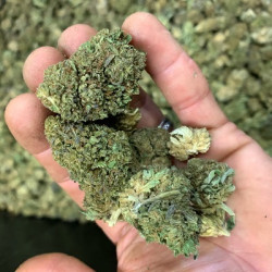 Bubba Kush Delta 8 1 Ounce